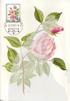 CH MC 1236 / 1240 ● - 1982